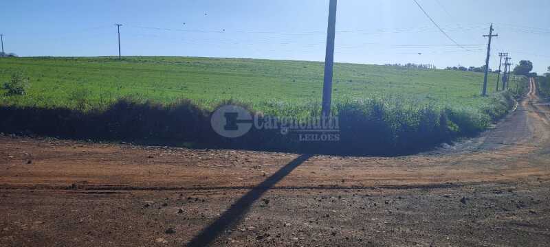 Foto 14 de 16: Area Rural em leilão em Roque Gonzales - RS — LOTE 004-2 17.865,5m², do lote rural nº 7-A, da Fazenda Cerro Pelado (Esquina Fátima), em Roque Gonz