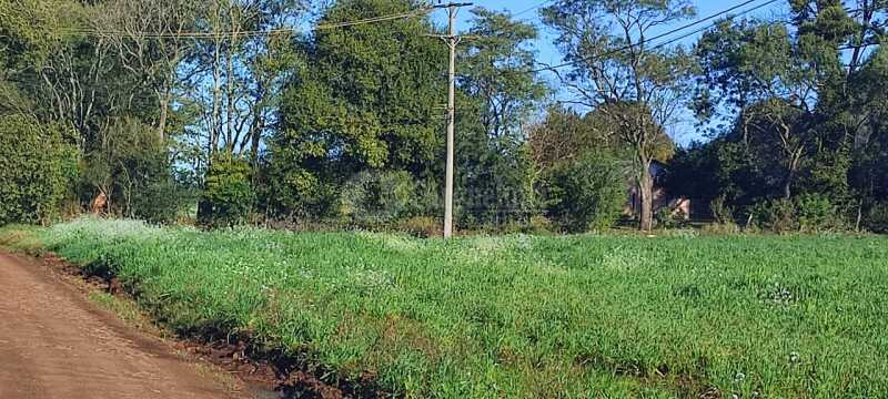 Foto 2 de 16: Area Rural em leilão em Roque Gonzales - RS — LOTE 004-3 205.166,5m², do polígono 6, da Fazenda Cerro Pelado (Esquina Fátima), em Roque Gonzales/R