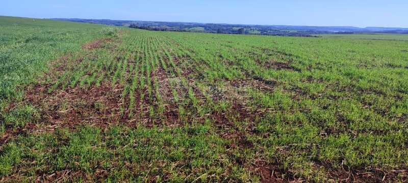 Foto 1 de 16: Area Rural em leilão em Roque Gonzales - RS — LOTE 004-3 205.166,5m², do polígono 6, da Fazenda Cerro Pelado (Esquina Fátima), em Roque Gonzales/R
