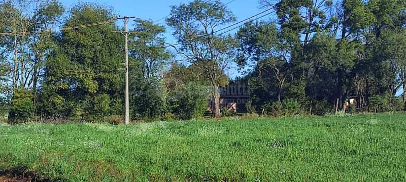 Foto 5 de 16: Area Rural em leilão em Roque Gonzales - RS — LOTE 004-3 205.166,5m², do polígono 6, da Fazenda Cerro Pelado (Esquina Fátima), em Roque Gonzales/R