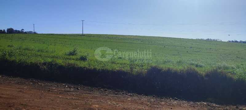 Foto 10 de 16: Area Rural em leilão em Roque Gonzales - RS — LOTE 004-3 205.166,5m², do polígono 6, da Fazenda Cerro Pelado (Esquina Fátima), em Roque Gonzales/R
