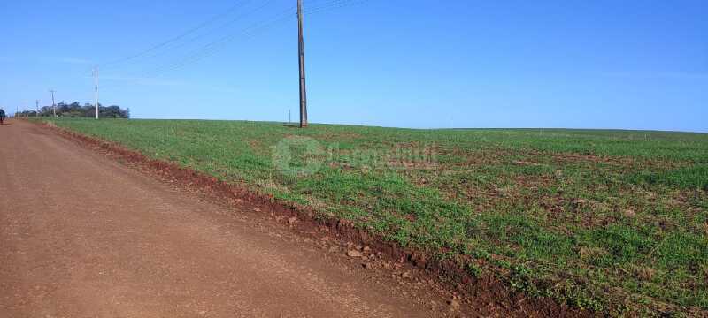 Foto 2 de 5: Area Rural em leilão em Roque Gonzales - RS — LOTE 004-4 15.000m², na Esquina Fátima (Fazenda Cerro Pelado), em Roque Gonzales/RS