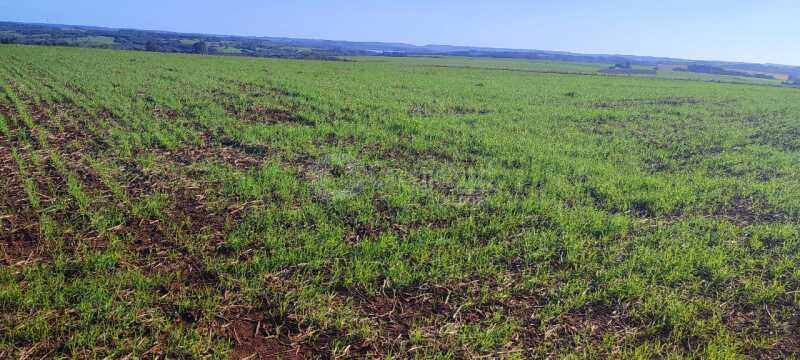 Foto 4 de 5: Area Rural em leilão em Roque Gonzales - RS — LOTE 004-4 15.000m², na Esquina Fátima (Fazenda Cerro Pelado), em Roque Gonzales/RS