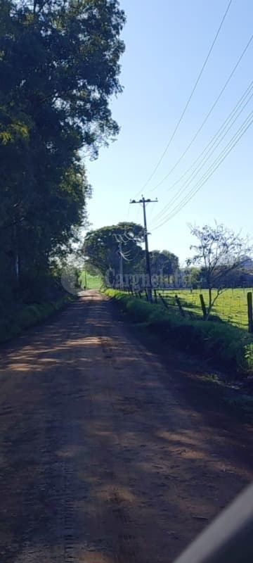 Foto 6 de 16: Area Rural em leilão em Roque Gonzales - RS — LOTE 004-5 30.000.00m², da Fazenda Cerro Pelado (Esquina Fátima), em Roque Gonzales/RS