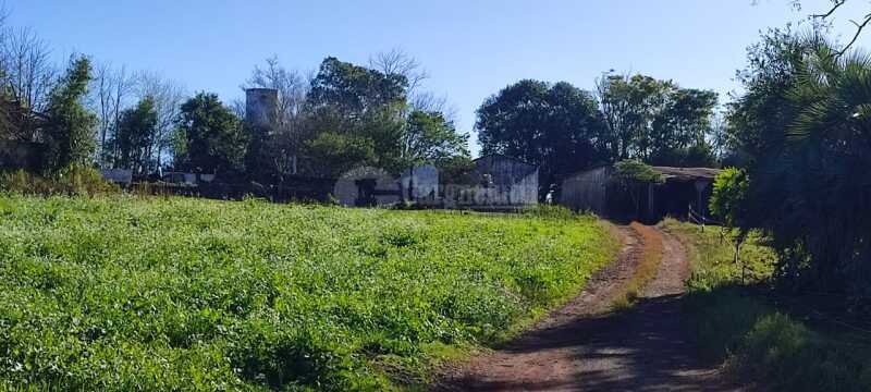 Foto 7 de 16: Area Rural em leilão em Roque Gonzales - RS — LOTE 004-5 30.000.00m², da Fazenda Cerro Pelado (Esquina Fátima), em Roque Gonzales/RS