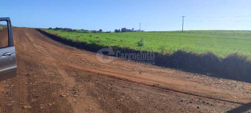 Foto 12 de 16: Area Rural em leilão em Roque Gonzales - RS — LOTE 004-5 30.000.00m², da Fazenda Cerro Pelado (Esquina Fátima), em Roque Gonzales/RS