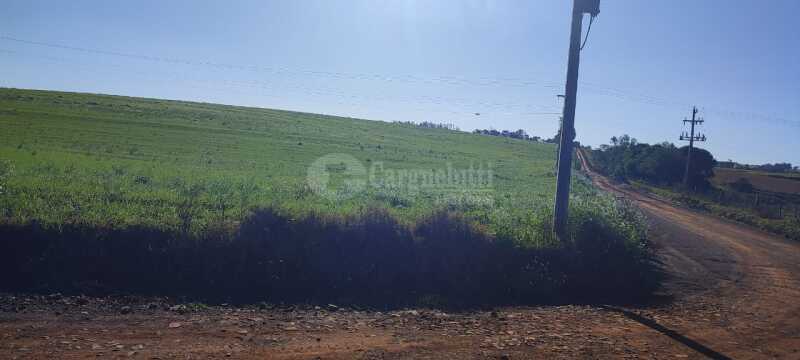 Foto 15 de 16: Area Rural em leilão em Roque Gonzales - RS — LOTE 004-5 30.000.00m², da Fazenda Cerro Pelado (Esquina Fátima), em Roque Gonzales/RS