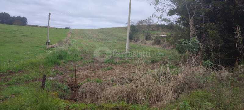 Foto 5 de 12: Area Rural em leilão em Tuparendi - RS — LOTE 001 25.666,66m² no Lajeado Minas, em Tuparendi/RS