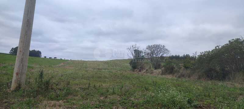 Foto 12 de 12: Area Rural em leilão em Tuparendi - RS — LOTE 001 25.666,66m² no Lajeado Minas, em Tuparendi/RS