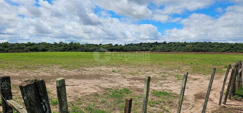 Foto 2 de 16: Imóvel em leilão em São Nicolau - RS — LOTE 001 13has 50as, em Rincão Guaracapá, em São Nicolau/RS