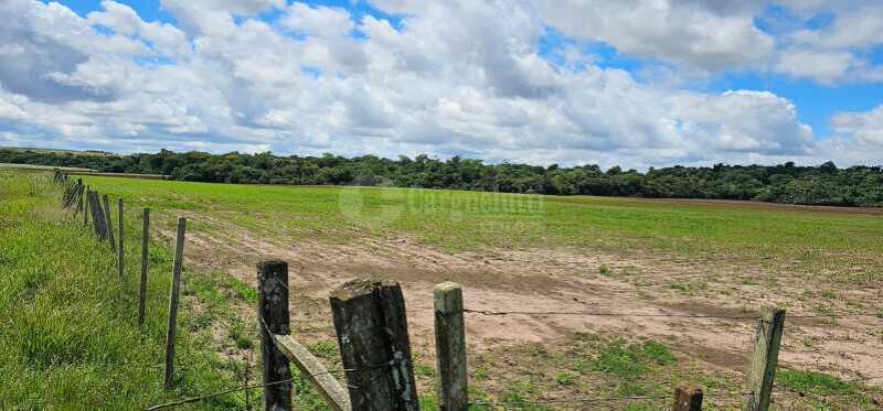 Foto 3 de 16: Imóvel em leilão em São Nicolau - RS — LOTE 001 13has 50as, em Rincão Guaracapá, em São Nicolau/RS