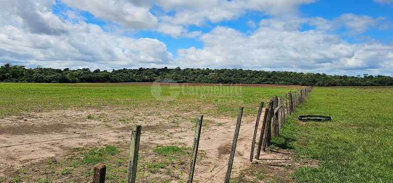 Foto 5 de 16: Imóvel em leilão em São Nicolau - RS — LOTE 001 13has 50as, em Rincão Guaracapá, em São Nicolau/RS