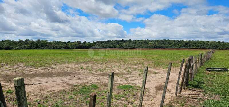 Foto 6 de 16: Imóvel em leilão em São Nicolau - RS — LOTE 001 13has 50as, em Rincão Guaracapá, em São Nicolau/RS