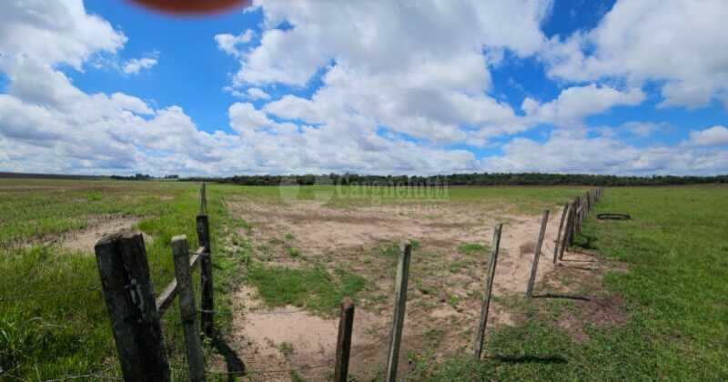 Foto 7 de 16: Imóvel em leilão em São Nicolau - RS — LOTE 001 13has 50as, em Rincão Guaracapá, em São Nicolau/RS