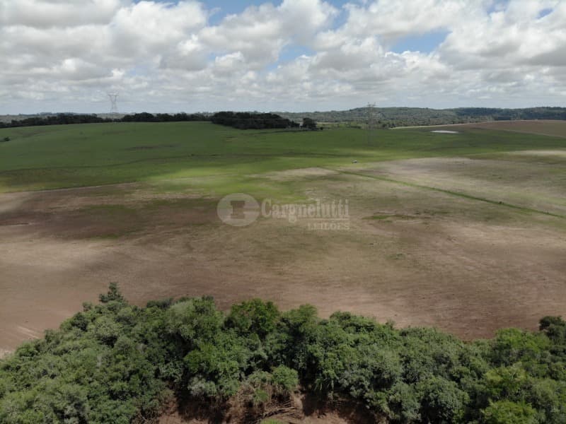 Foto 12 de 16: Imóvel em leilão em São Nicolau - RS — LOTE 001 13has 50as, em Rincão Guaracapá, em São Nicolau/RS