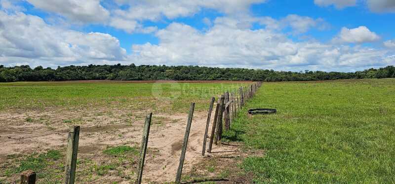 Foto 15 de 16: Imóvel em leilão em São Nicolau - RS — LOTE 001 13has 50as, em Rincão Guaracapá, em São Nicolau/RS