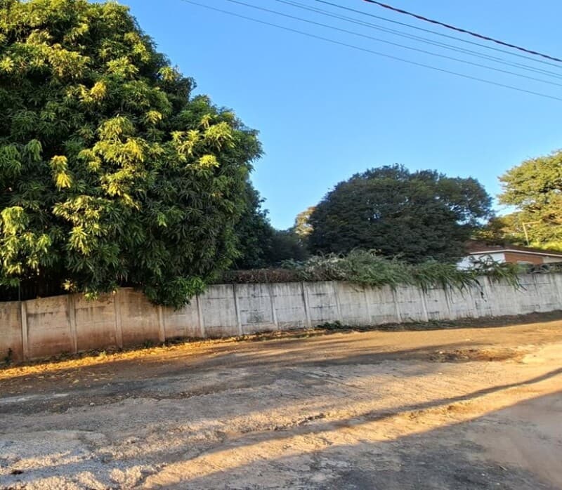 Foto 1 de 8: Terreno em leilão em Brodowski - SP — LOTE 001 TERRENO RESIDENCIAL com 2.904m² localizado entre as Ruas Joaquim Segueto Jr e José Branco n