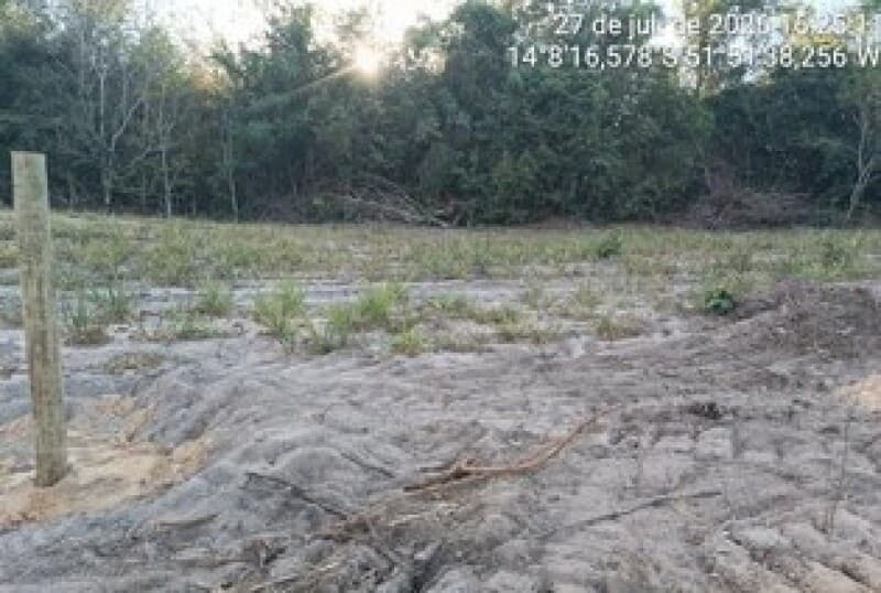 Foto 4 de 22: Area Rural em leilão em Nova Nazaré - MT — LOTE 001 ALIENAÇÃO FIDUCIÁRIA - FAZENDA SÃO JUDAS TADEU - Área de 155 hectares Comarca de Nova Nazar