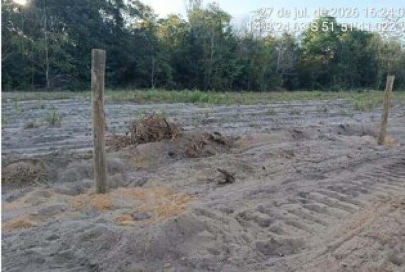 Foto 8 de 22: Area Rural em leilão em Nova Nazaré - MT — LOTE 001 ALIENAÇÃO FIDUCIÁRIA - FAZENDA SÃO JUDAS TADEU - Área de 155 hectares Comarca de Nova Nazar