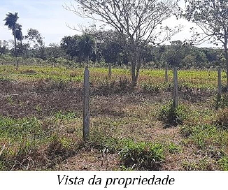 Foto 12 de 13: Area Rural em leilão em Bela Vista - MS — LOTE 001 ALIENAÇÃO FIDUCIÁRIA da FAZENDA KALAFATE - Área de 359ha no município de Bela Vista/MS