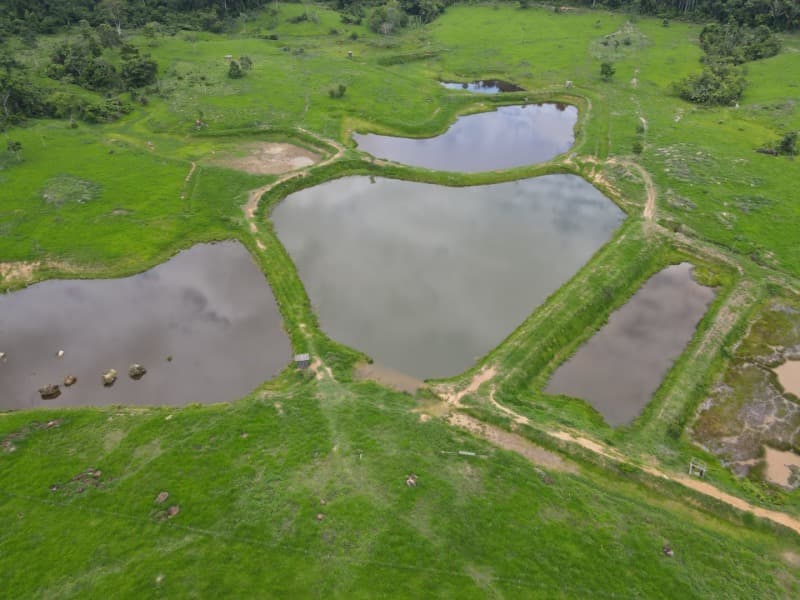 Foto 3 de 8: Area Rural em leilão em Monte Negro - RO — LOTE 001 AREA RURAL COM 211,8231 ha (duzentos e onze hectares, oitenta e dois ares e trinta e um cen
