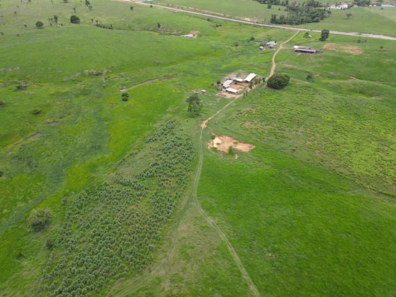 Foto 4 de 8: Area Rural em leilão em Monte Negro - RO — LOTE 001 AREA RURAL COM 211,8231 ha (duzentos e onze hectares, oitenta e dois ares e trinta e um cen