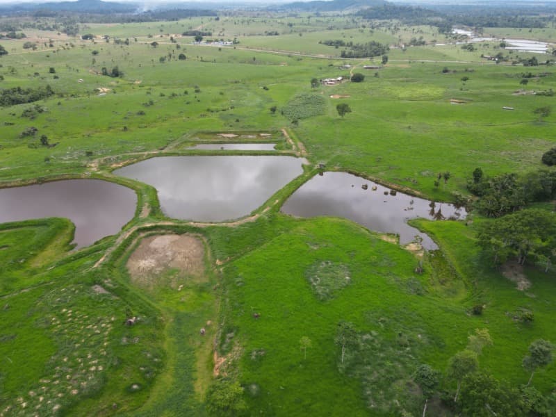 Foto 5 de 8: Area Rural em leilão em Monte Negro - RO — LOTE 001 AREA RURAL COM 211,8231 ha (duzentos e onze hectares, oitenta e dois ares e trinta e um cen