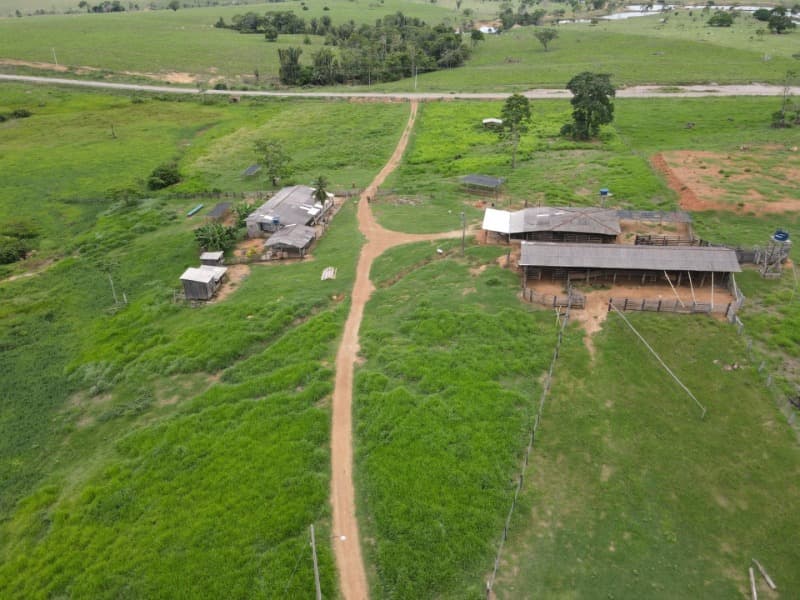 Foto 7 de 8: Area Rural em leilão em Monte Negro - RO — LOTE 001 AREA RURAL COM 211,8231 ha (duzentos e onze hectares, oitenta e dois ares e trinta e um cen