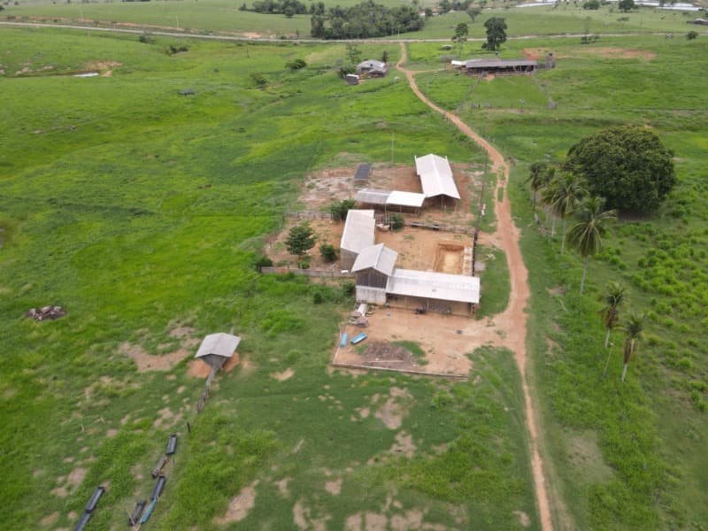 Foto 1 de 8: Area Rural em leilão em Monte Negro - RO — LOTE 001 AREA RURAL COM 211,8231 ha (duzentos e onze hectares, oitenta e dois ares e trinta e um cen