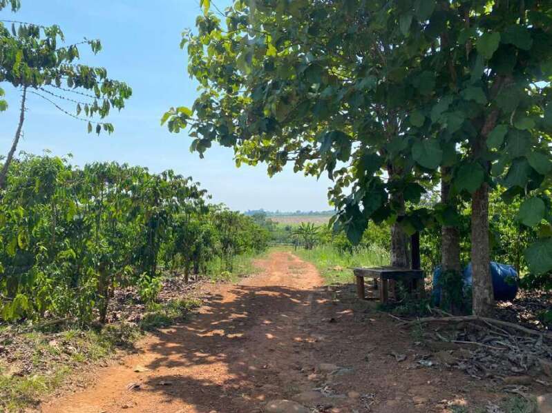 Foto 1 de 11: Area Rural em leilão em Novo Horizonte Do Oeste - RO — LOTE 001 IMÓVEL RURAL COM ÁREA DE 20,250560ha (vinte hectares, vinte e cinco ares, cinco centiares e