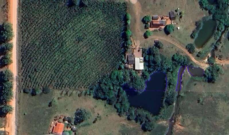 Foto 3 de 11: Area Rural em leilão em Novo Horizonte Do Oeste - RO — LOTE 001 IMÓVEL RURAL COM ÁREA DE 20,250560ha (vinte hectares, vinte e cinco ares, cinco centiares e