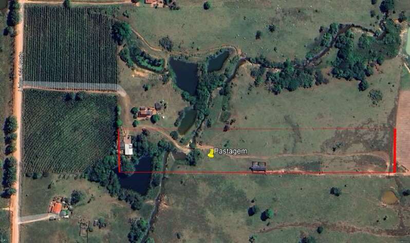 Foto 5 de 11: Area Rural em leilão em Novo Horizonte Do Oeste - RO — LOTE 001 IMÓVEL RURAL COM ÁREA DE 20,250560ha (vinte hectares, vinte e cinco ares, cinco centiares e