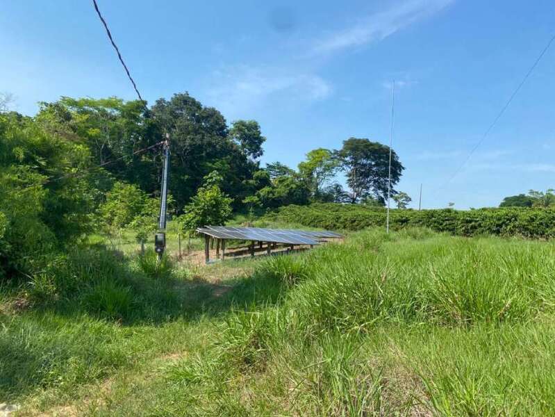 Foto 8 de 11: Area Rural em leilão em Novo Horizonte Do Oeste - RO — LOTE 001 IMÓVEL RURAL COM ÁREA DE 20,250560ha (vinte hectares, vinte e cinco ares, cinco centiares e