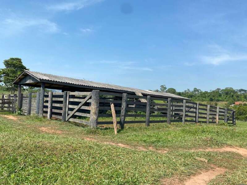Foto 11 de 11: Area Rural em leilão em Novo Horizonte Do Oeste - RO — LOTE 001 IMÓVEL RURAL COM ÁREA DE 20,250560ha (vinte hectares, vinte e cinco ares, cinco centiares e