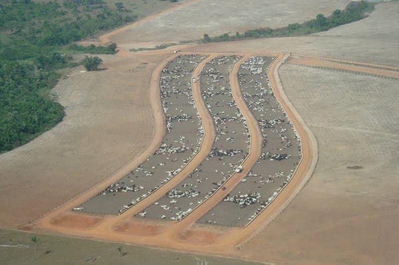 Foto 3 de 3: Area Rural em leilão em Chupinguaia - RO — LOTE 001 IMÓVEL RURAL COM 1.731,9394 ha (um mil e setecentos e trinta e um hectares, noventa e três