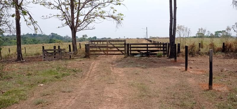 Foto 1 de 9: Area Rural em leilão em Pimenta Bueno - RO — LOTE 001 IMÓVEL RURAL COM 183,8888ha EM PIMENTA BUENO/RO - ACEITA PARCELAMENTO