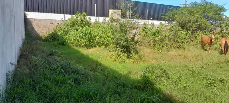 Foto 14 de 22: Terreno em leilão em Porto Murtinho - MS — LOTE 001 03 IMÓVEIS (LOTE ÚNICO) EM PORTO MURTINHO/MS