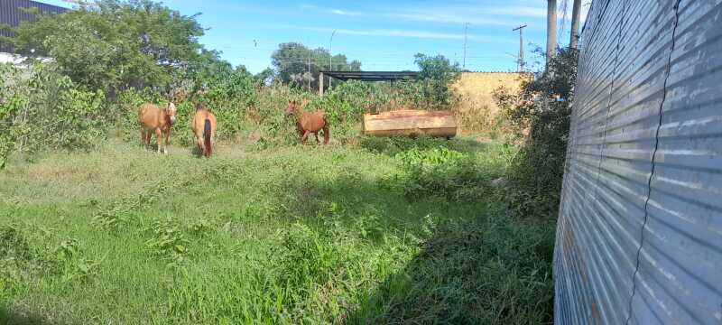 Foto 15 de 22: Terreno em leilão em Porto Murtinho - MS — LOTE 001 03 IMÓVEIS (LOTE ÚNICO) EM PORTO MURTINHO/MS