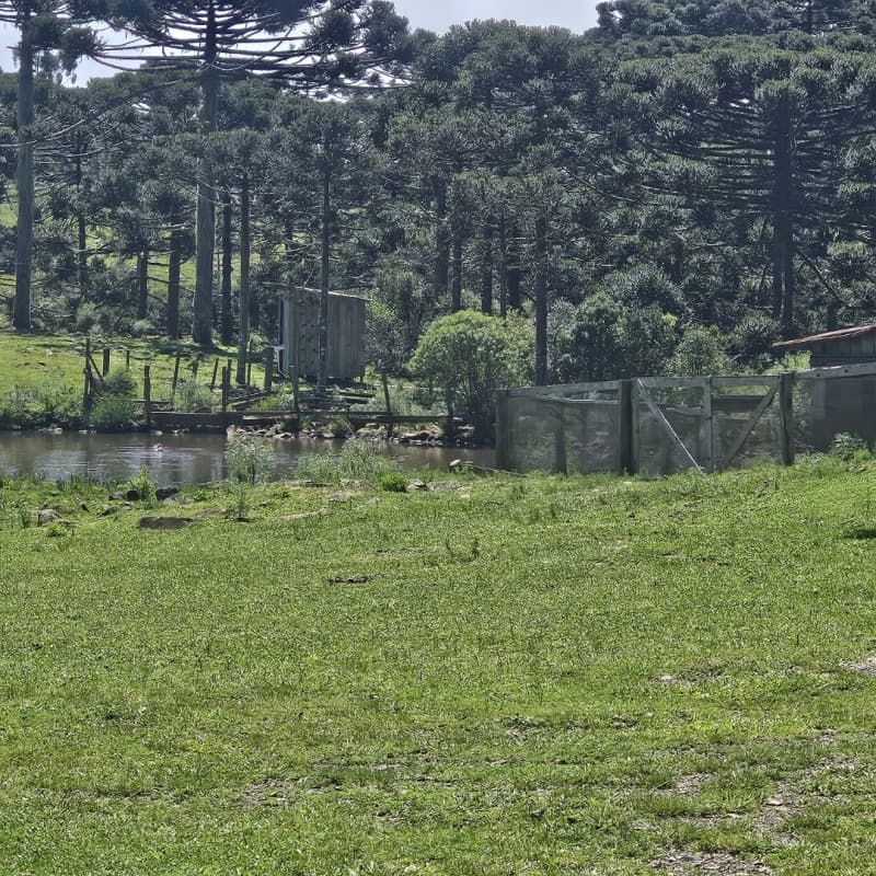 Foto 1 de 10: Terreno em leilão em São Joaquim - SC — LOTE 001 [15.877] TERRENO RURAL DE 48.496,44M² EM SÃO JOAQUIM/SC