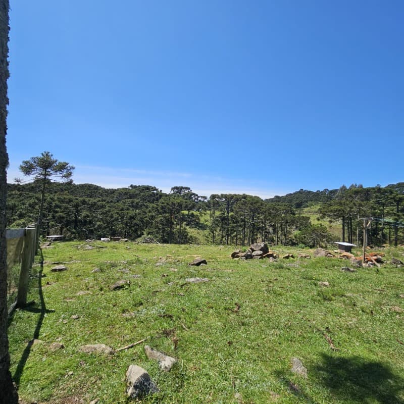 Foto 5 de 10: Terreno em leilão em São Joaquim - SC — LOTE 001 [15.877] TERRENO RURAL DE 48.496,44M² EM SÃO JOAQUIM/SC
