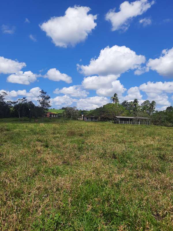 Foto 10 de 13: Area Rural em leilão em Areia Branca - SE — LOTE 001 IMÓVEL - ÁREA RURAL - "SÍTIO MATINHA" - AREIA BRANCA/SE