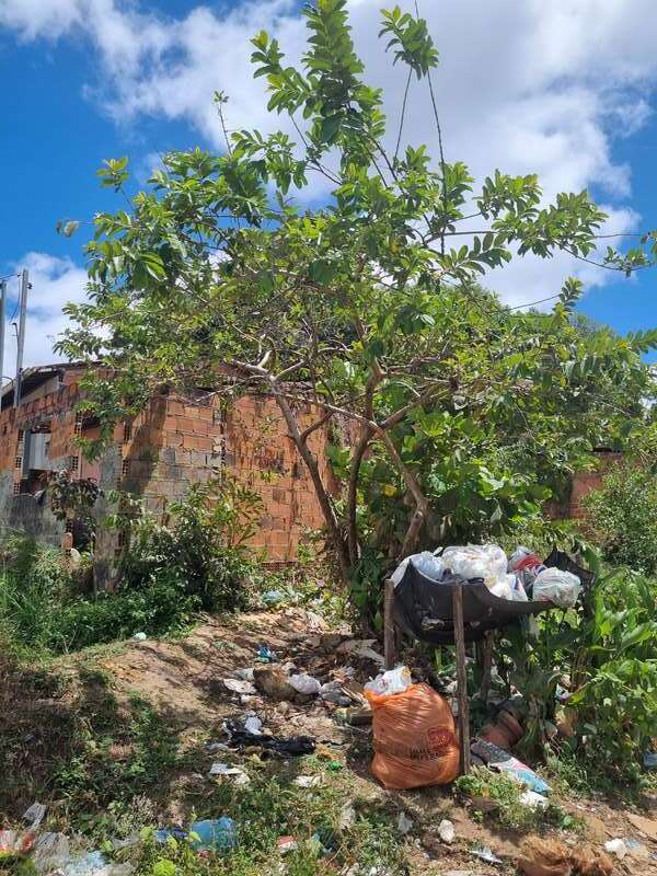Foto 2 de 4: Terreno em leilão em São Cristóvão - SE — LOTE 001 IMÓVEL - LOTEAMENTO LAURO ROCHA - SÃO CRISTÓVÃO/SE