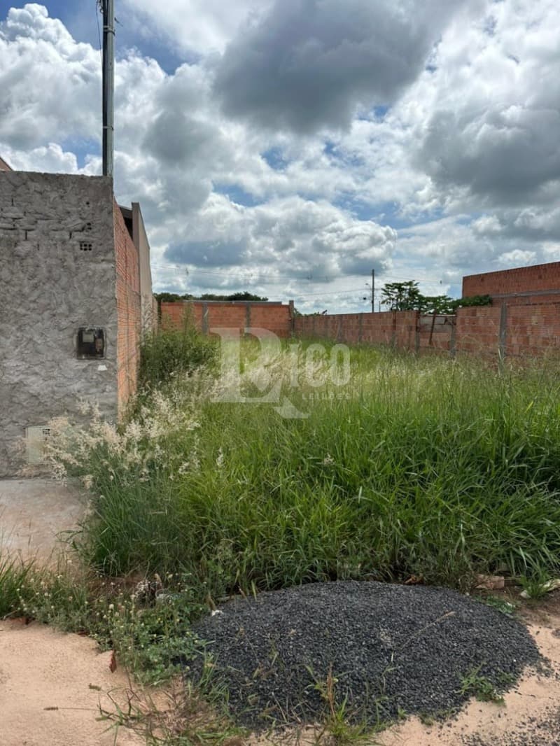 Foto 3 de 6: Terreno em leilão em Cândido Mota - SP — LOTE 001 TERRENO - CÂNDIDO MOTA