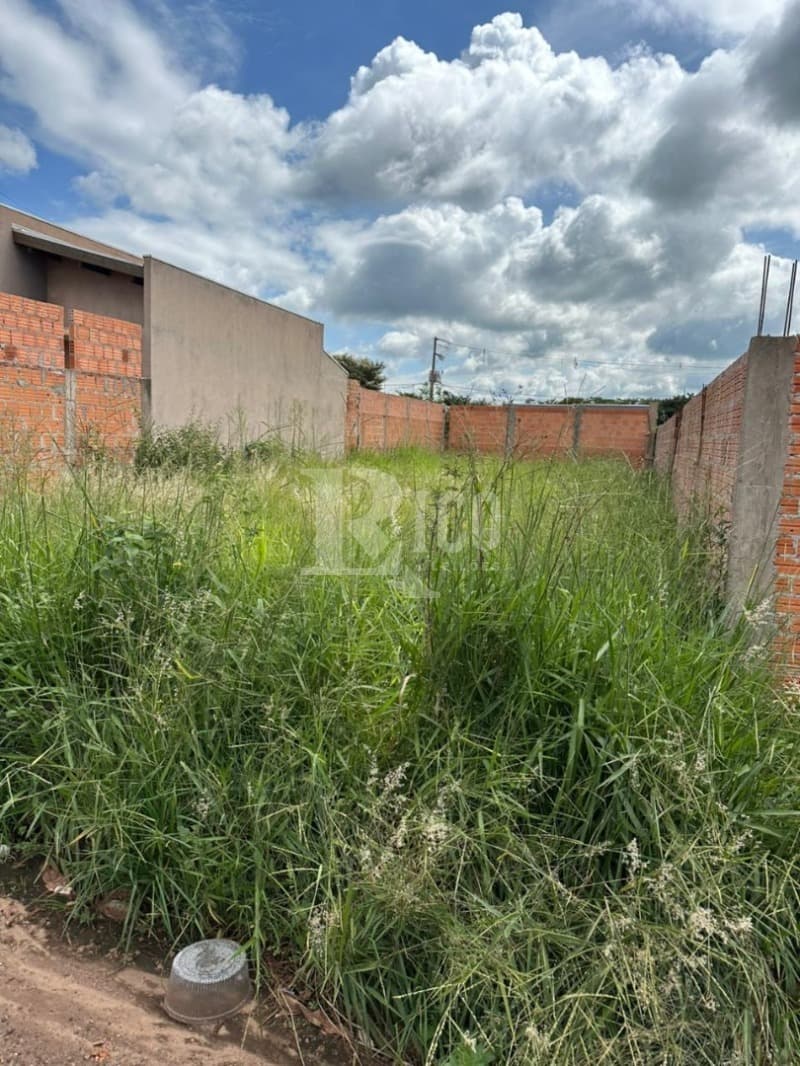 Foto 4 de 6: Terreno em leilão em Cândido Mota - SP — LOTE 001 TERRENO - CÂNDIDO MOTA