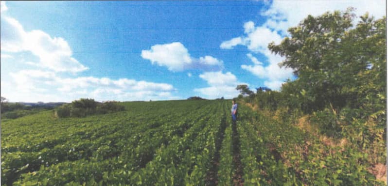 Foto 1 de 32: Imóvel em leilão em Lagoão - RS — LOTE 001 Imóvel