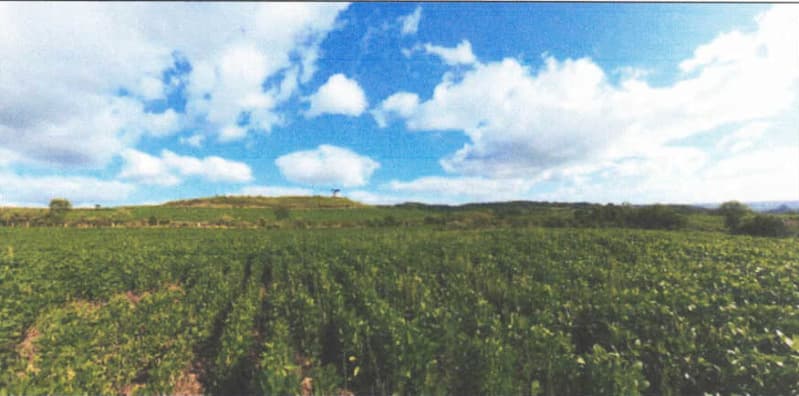 Foto 4 de 32: Imóvel em leilão em Lagoão - RS — LOTE 001 Imóvel