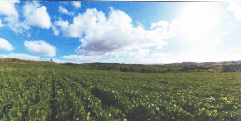 Foto 5 de 32: Imóvel em leilão em Lagoão - RS — LOTE 001 Imóvel