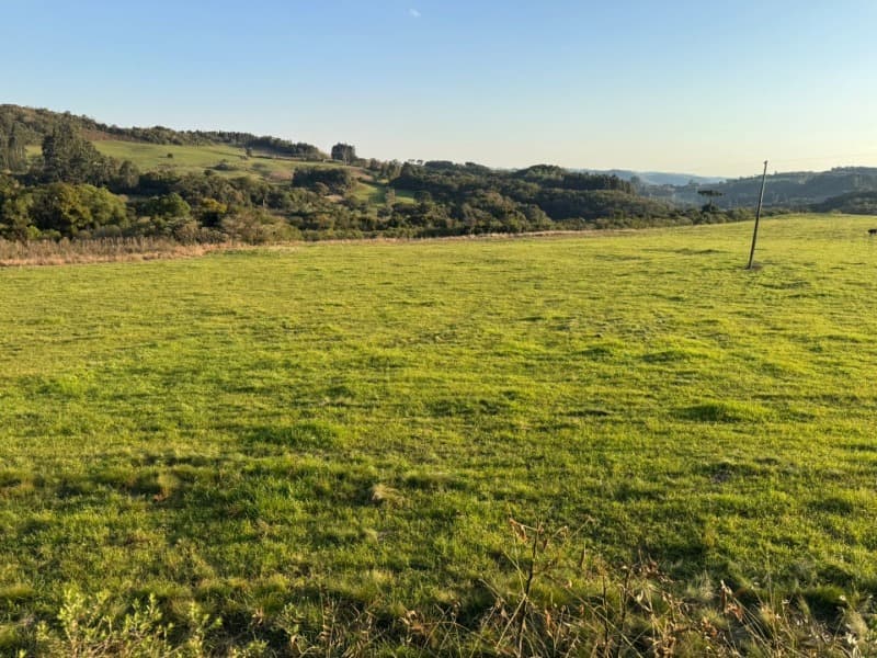 Foto 20 de 32: Imóvel em leilão em Lagoão - RS — LOTE 001 Imóvel