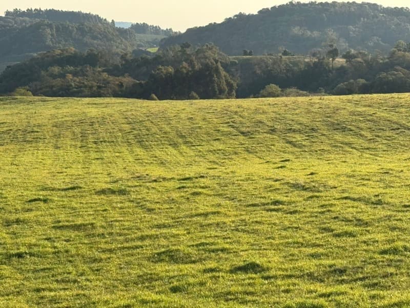 Foto 27 de 32: Imóvel em leilão em Lagoão - RS — LOTE 001 Imóvel
