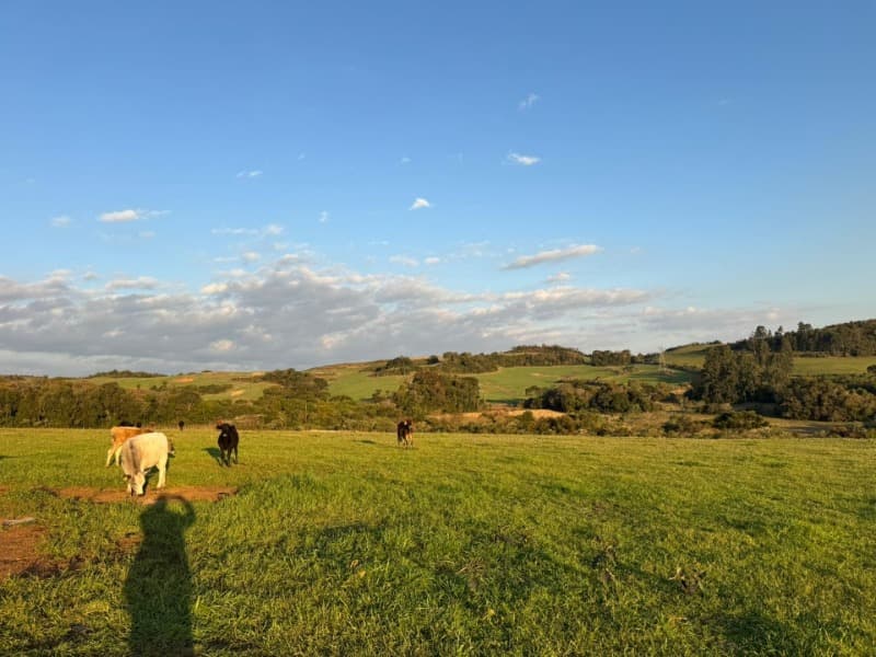 Foto 29 de 32: Imóvel em leilão em Lagoão - RS — LOTE 001 Imóvel